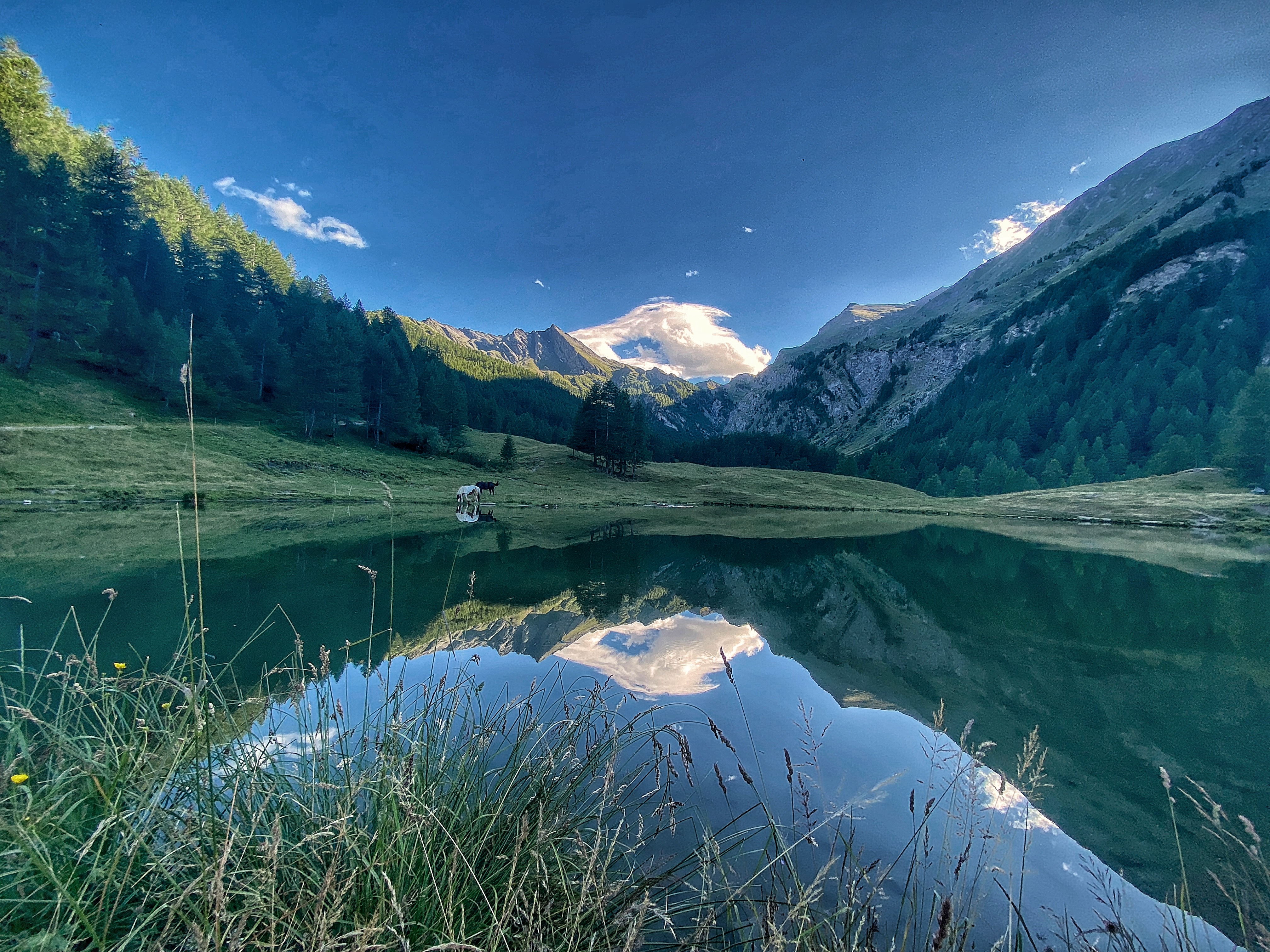 Doppio click per ingrandire Lago