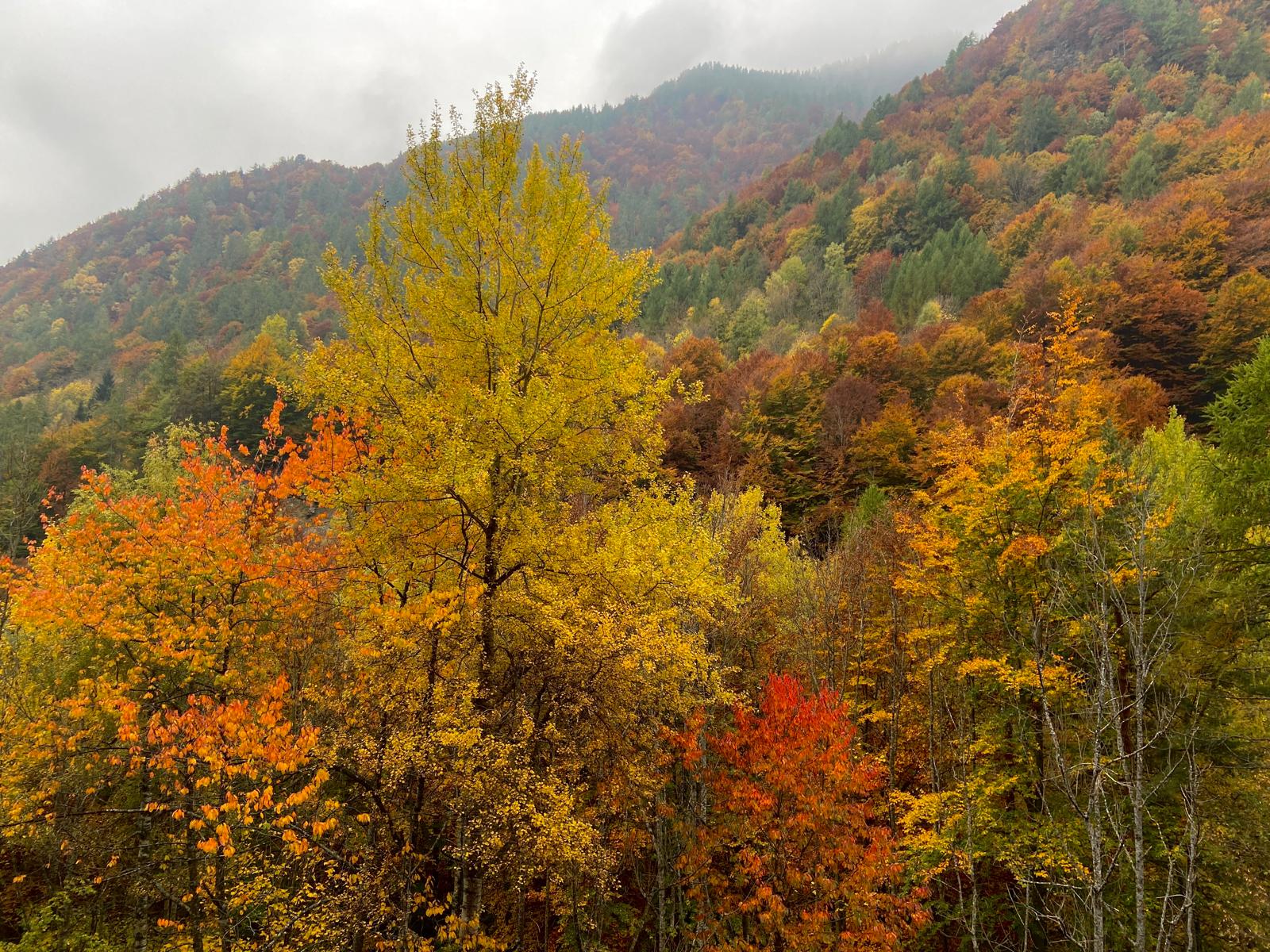 Doppio click per ingrandire Panorama Autunno